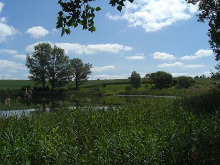 am Helpter See