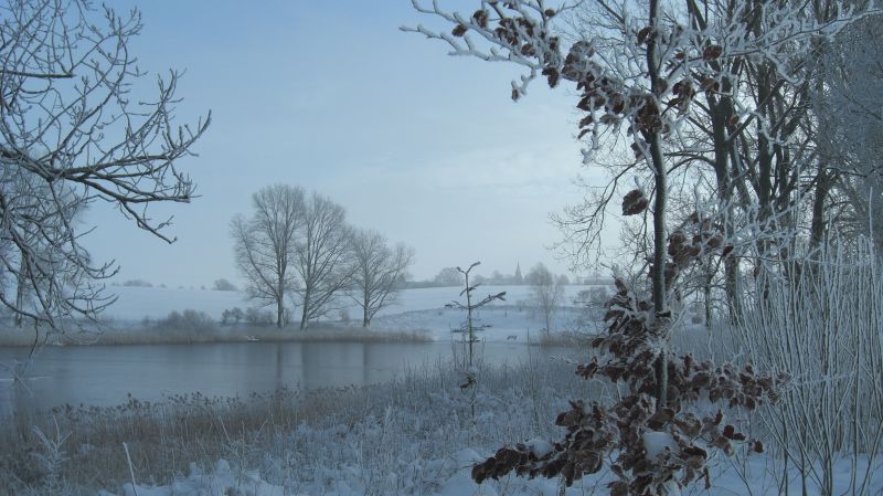 Winter 2015